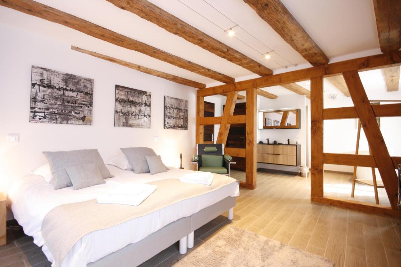App'Art - Le T Avec Sauna Kaysersberg-Vignoble Exterior foto